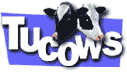 tn_bottom.gif (2320 bytes)
